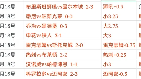 国米欧冠八强首战2-0领先费耶诺德