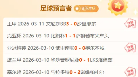 NBA赛事深度解析：魔术黄蜂对决策略详解